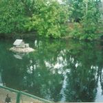 Основные методы очистки водоемов